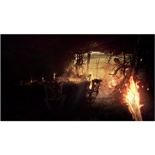 Игра для ПК, Agony