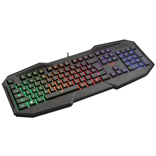 Trust 830-RW Avonn, RUS, black - Keyboard