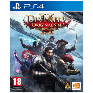 PS4 game Divinity: Original Sin 2 Definitive Edition