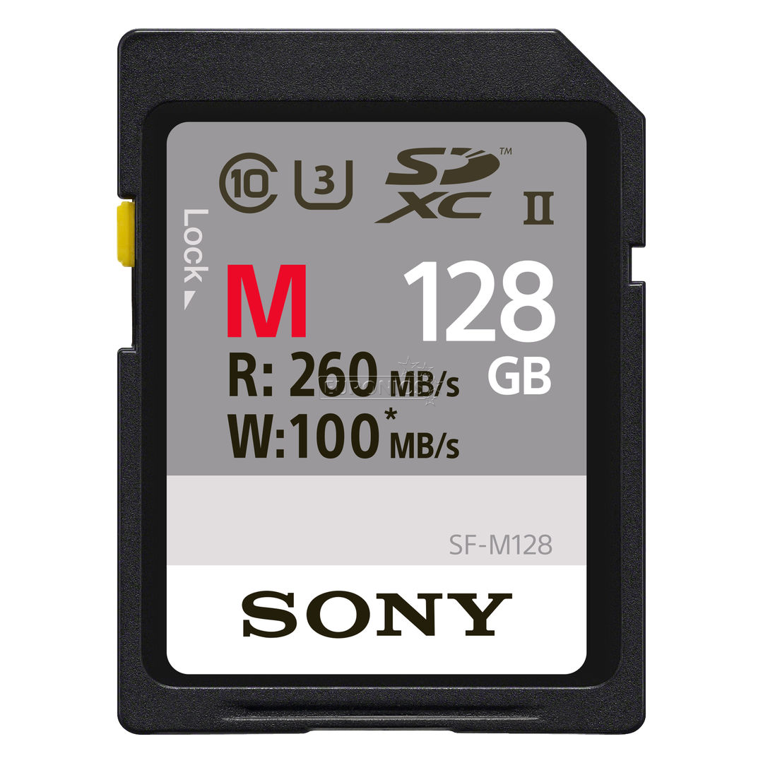 SDHC mälukaart Sony (128 GB)
