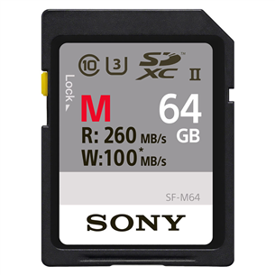 SDHC mälukaart Sony (64 GB)
