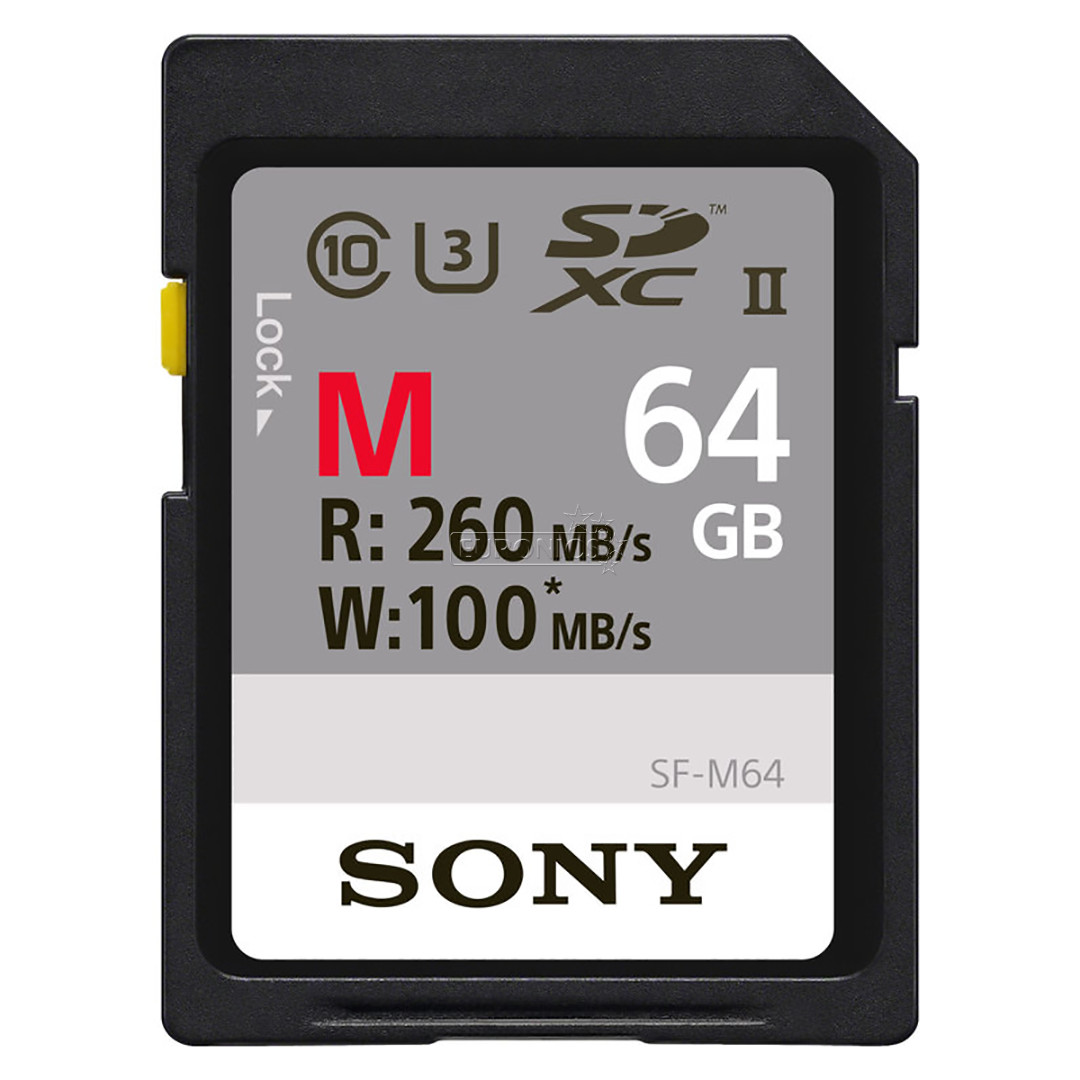 SDHC mälukaart Sony (64 GB)