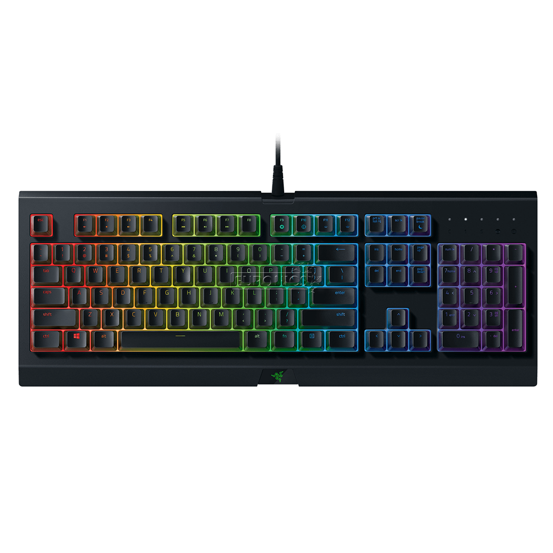Клавиатура Razer Cynosa Chroma (SWE)