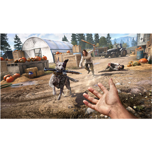 Игра Far Cry 5 для PlayStation 4