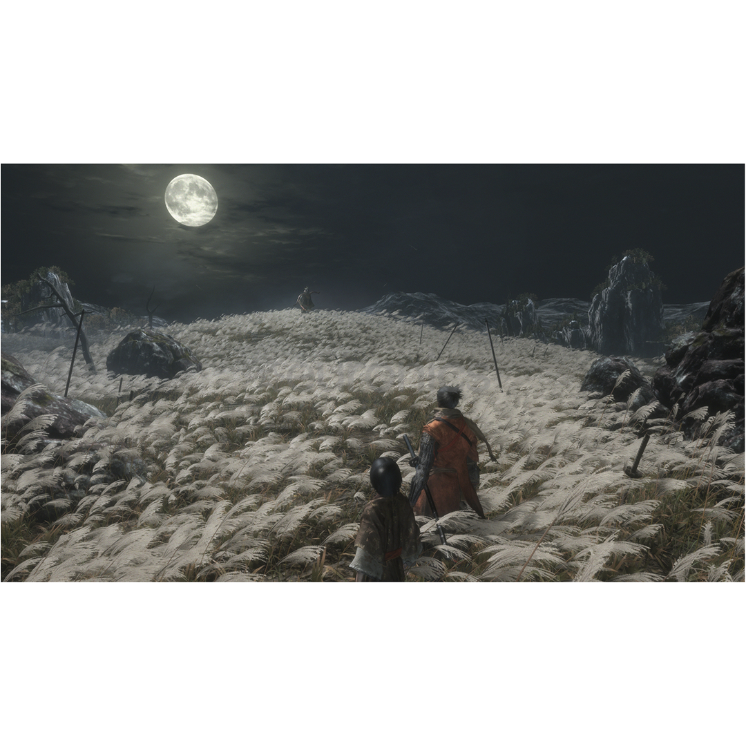 PS4 mäng Sekiro: Shadows Die Twice