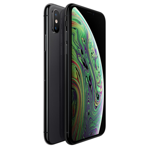 Apple iPhone XS (512 ГБ)