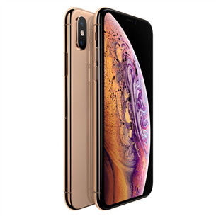 Apple iPhone XS (256 ГБ)