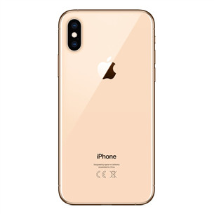 Apple iPhone XS (256 ГБ)