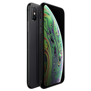 Apple iPhone XS Max (64 ГБ)