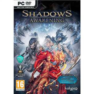 PC game Shadows Awakening