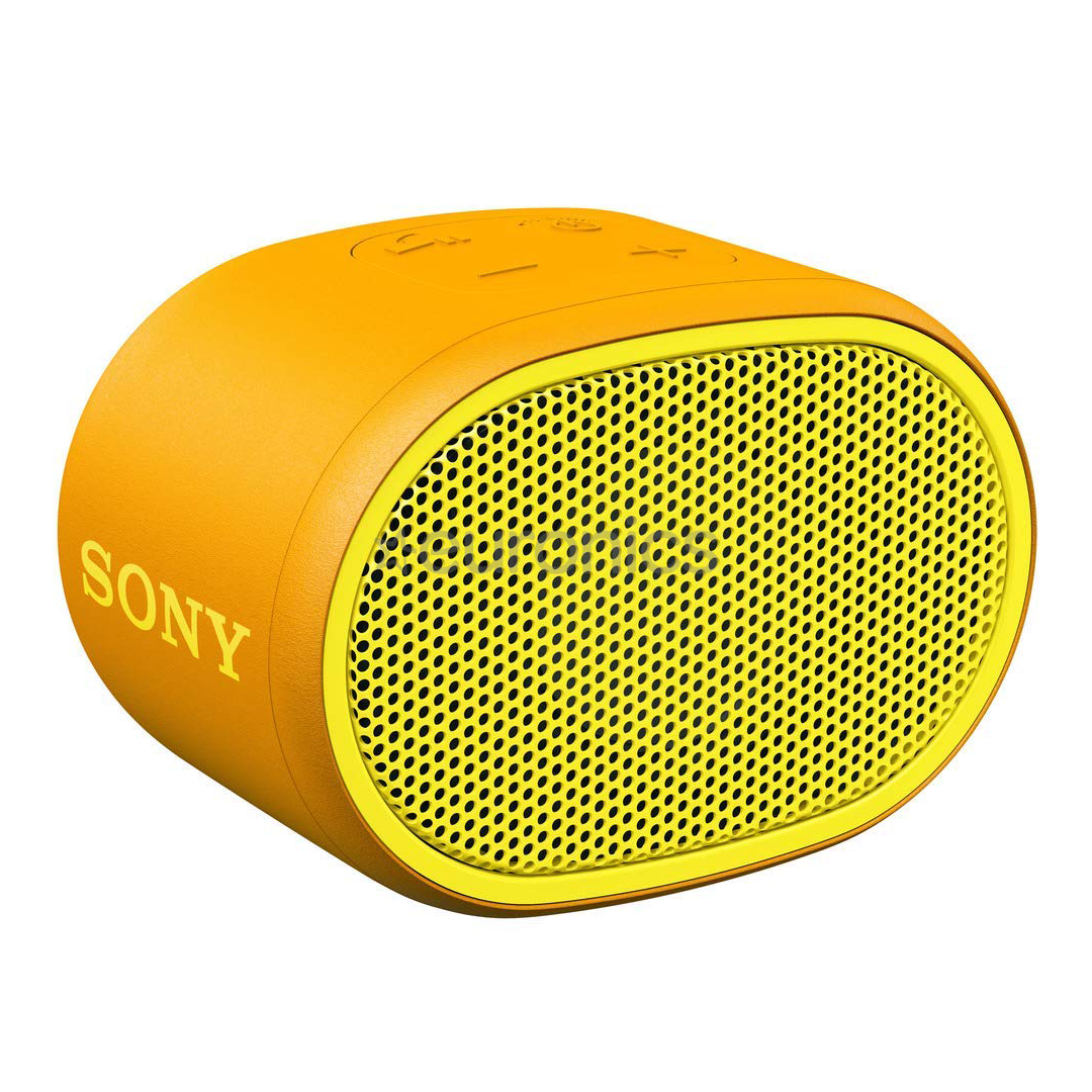 Kaasaskantav kõlar Sony XB01