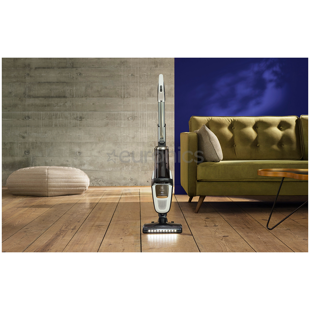 Tolmuimeja Electrolux Shiva