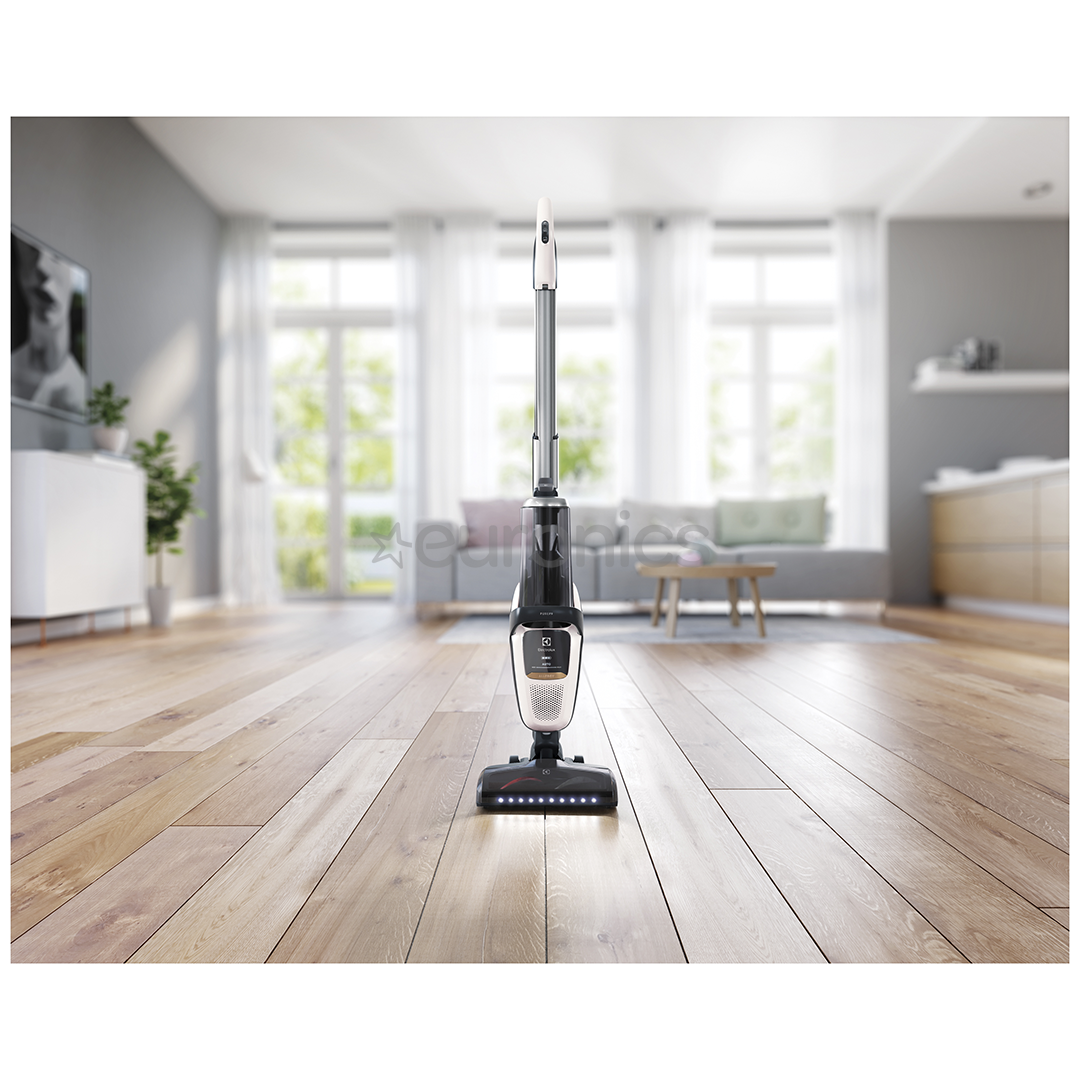 Tolmuimeja Electrolux Shiva