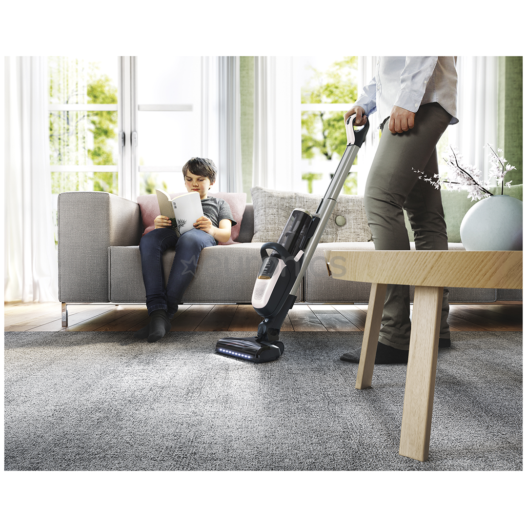 Tolmuimeja Electrolux Shiva