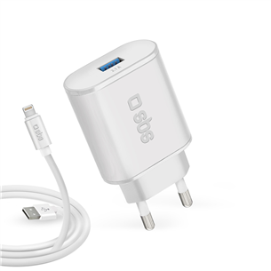 Wall charger + cable Lightning SBS (10 W)