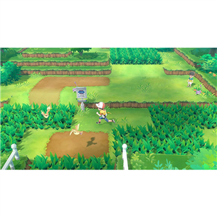 Switch game Pokémon: Let's Go, Pikachu!