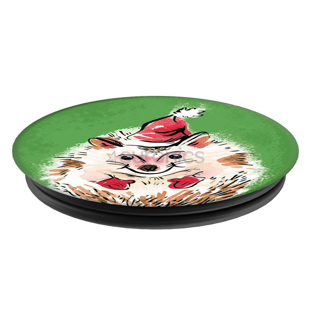 Smartphone accessory PopSocket