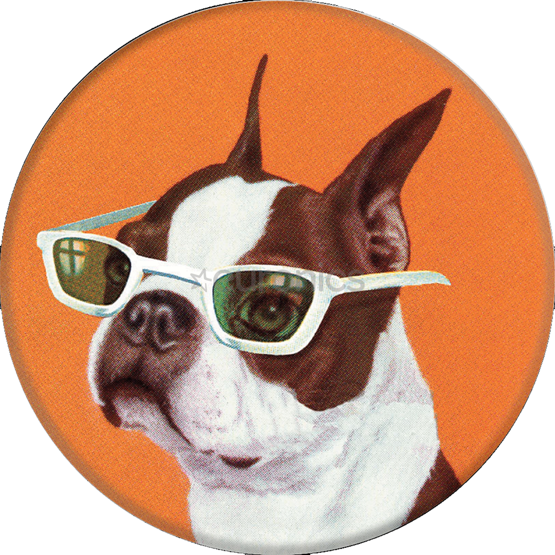 Telefoni aksessuaar PopSocket