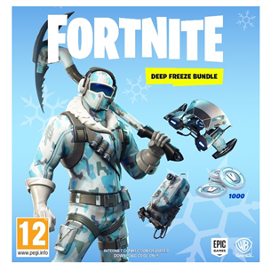 Arvutimäng Fortnite Deep Freeze Bundle