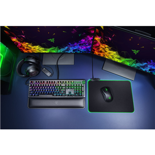 Razer BlackWidow Elite Yellow Switch, SWE, must - Klaviatuur