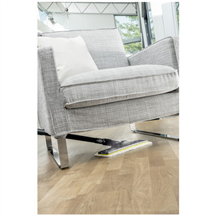 Aurupesur + triikraud Kärcher SC 4 Easyfix Premium Iron Kit