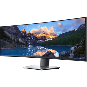 Dell UltraSharp U4919DW, 49'', DQHD, LED IPS, nõgus, must - Monitor