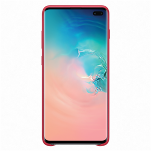 Samsung Galaxy S10+ nahast ümbris