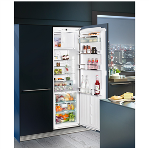 Built-in refrigerator Liebherr (178 cm)