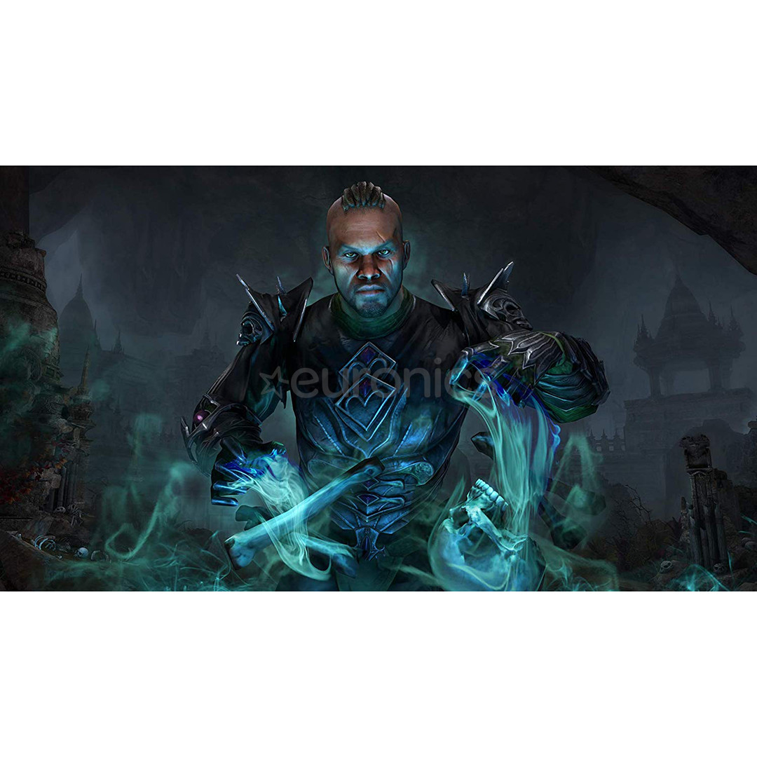 PS4 mäng Elder Scrolls Online: Elsweyr