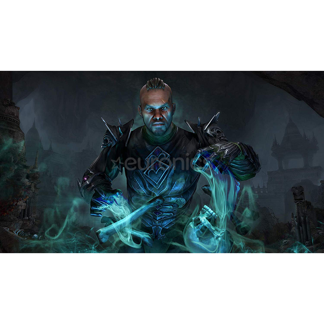 PS4 mäng Elder Scrolls Online: Elsweyr
