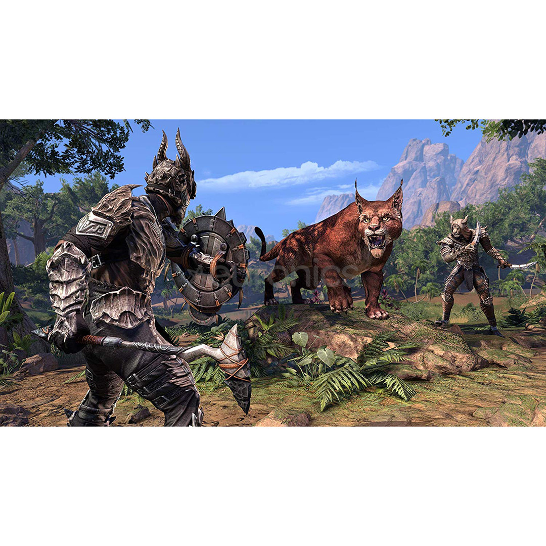 PS4 mäng Elder Scrolls Online: Elsweyr