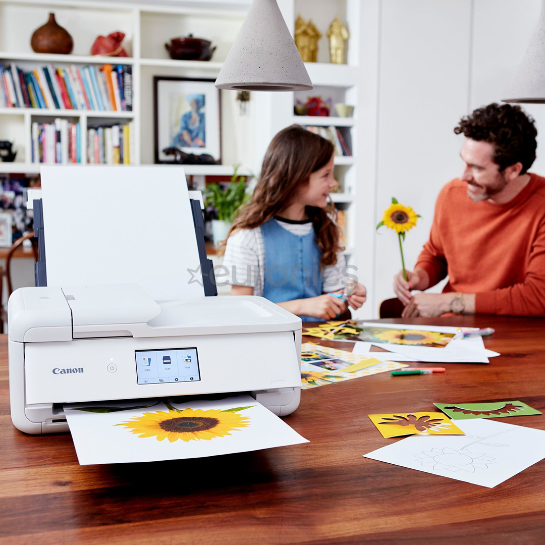Multifunktsionaalne värvi-tindiprinter Canon PIXMA TS9551C