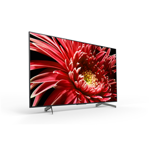 65'' Ultra HD LED LCD TV Sony XG85