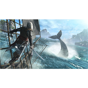 Arvutimäng Assassins Creed IV: Black Flag