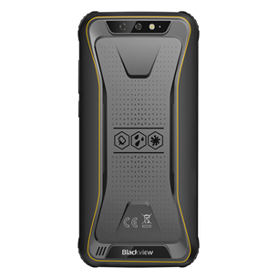 Smartphone BlackView BV5500