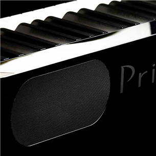 Digitaalne klaver Casio PX-S1000