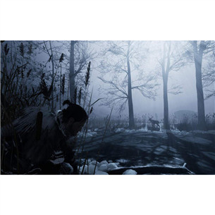 Игра для PlayStation 4 Fade to Silence