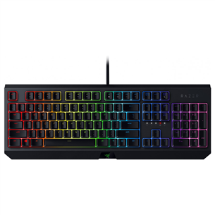 Keyboard Razer BlackWidow Green Switch (SWE)