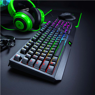 Klaviatuur Razer BlackWidow Green Switch (SWE)