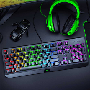 Keyboard Razer BlackWidow Green Switch (SWE)