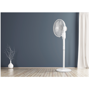 Fan 2in1 ECG