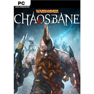 Компьютерная игра Warhammer: Chaosbane