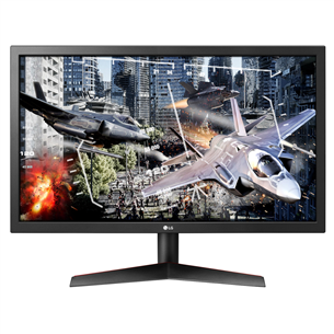 24'' Full HD LED TN monitor LG