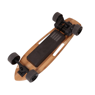 Electric Skateboard Blurby