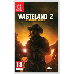 Игра Wasteland 2: Directors Cut для Nintendo Switch
