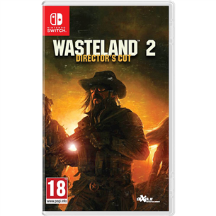 Switch game Wasteland 2: Directors Cut