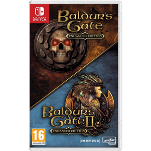 Игра Baldur's Gate Collection для Nintendo Switch