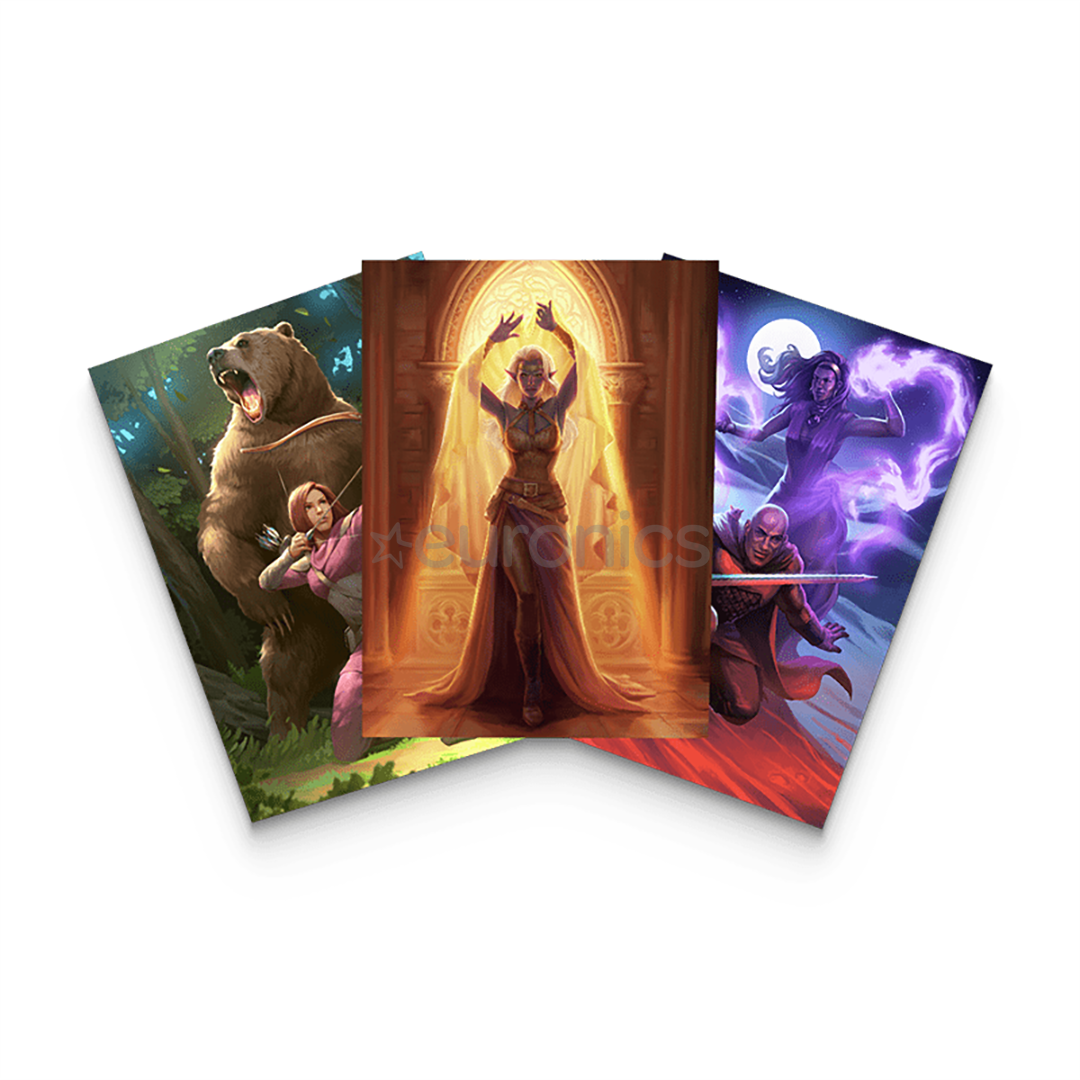 Switch mäng Baldur's Gate Collection Collector's Pack