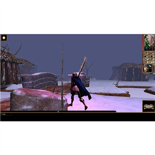 PS4 mäng Neverwinter Nights