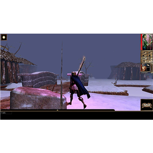 Игра для Nintendo Switch, Neverwinter Nights